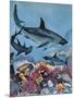 Sharks-G. W Backhouse-Mounted Giclee Print