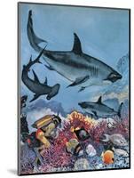 Sharks-G. W Backhouse-Mounted Giclee Print