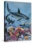 Sharks-G. W Backhouse-Stretched Canvas