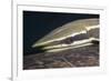 Sharksucker on Turtle (Echeneis Naucrates), Marsa Alam, Red Sea, Egypt-Reinhard Dirscherl-Framed Photographic Print