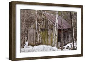 Sharon Barn-Brenda Petrella Photography LLC-Framed Giclee Print