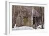 Sharon Barn-Brenda Petrella Photography LLC-Framed Giclee Print