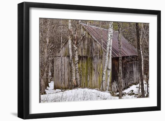 Sharon Barn-Brenda Petrella Photography LLC-Framed Premium Giclee Print