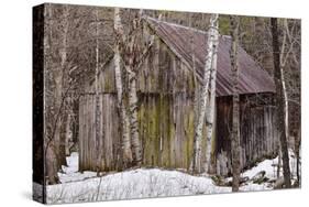 Sharon Barn-Brenda Petrella Photography LLC-Stretched Canvas