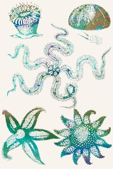 Art Print, , large