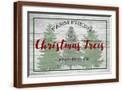 Brown Frame