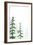 Brown Frame