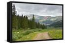 Canvas Black