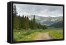 Framed Canvas