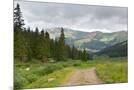 Wood Mount