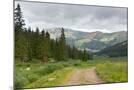 Wood Mount