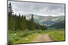 Wood Mount