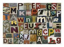 Type I-Sharon Elphick-Premium Giclee Print