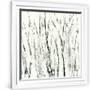 Gramercy White