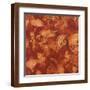 Brown Frame