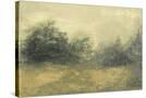 Stretched Canvas