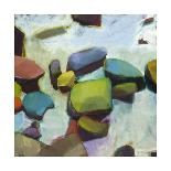 River Rocks-Sharon Paster-Giclee Print