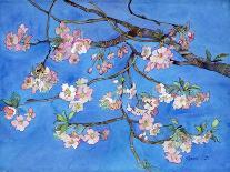 Cherry Blossoms-Sharon Pitts-Framed Giclee Print