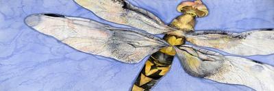 Dragonfly-Sharon Pitts-Giclee Print