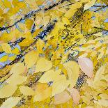 Golden Leaves-Sharon Pitts-Giclee Print