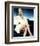 Sharon Stone, Basic Instinct (1992)-null-Framed Photo