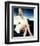 Sharon Stone, Basic Instinct (1992)-null-Framed Photo