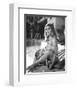 Sharon Tate - Valley of the Dolls-null-Framed Photo