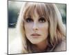 Sharon Tate-null-Mounted Photo