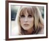 Sharon Tate-null-Framed Photo