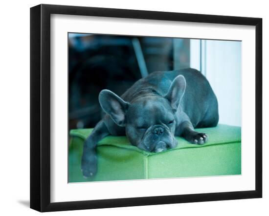 Premium Photographic Print, , large