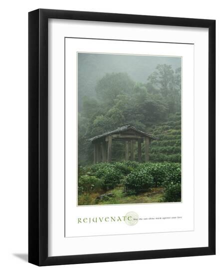 Photo, , large