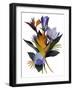 Sharp Flowers-Hiroyuki Izutsu-Framed Giclee Print