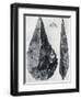 Sharp Pointed Implements, from Henley, Oxfordshire, 1926-null-Framed Giclee Print