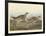 Sharp-tailed Grous, 1837-John James Audubon-Framed Giclee Print