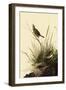 Sharp-Tailed Sparrows-John James Audubon-Framed Premium Giclee Print