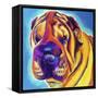 Sharpei - Big Man-Dawgart-Framed Stretched Canvas