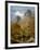 Sharpitor Rocks, C.1880-William Widgery-Framed Premium Giclee Print