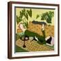 Brown Frame