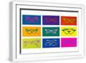 White Frame