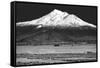 Shasta County Spring BW-Douglas Taylor-Framed Stretched Canvas