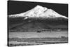 Shasta County Spring BW-Douglas Taylor-Stretched Canvas