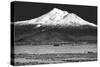 Shasta County Spring BW-Douglas Taylor-Stretched Canvas