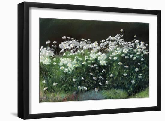 Shasta Daisies, 1992-Anthony Rule-Framed Giclee Print