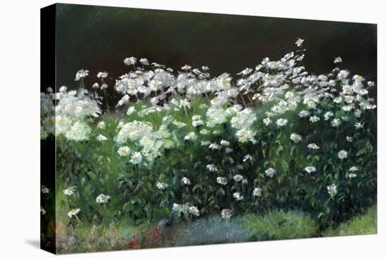 Shasta Daisies, 1992-Anthony Rule-Stretched Canvas
