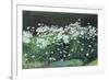 Shasta Daisies, 1992-Anthony Rule-Framed Giclee Print