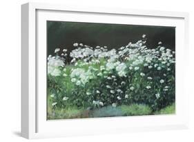 Shasta Daisies, 1992-Anthony Rule-Framed Giclee Print