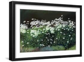 Shasta Daisies-Anthony Rule-Framed Giclee Print