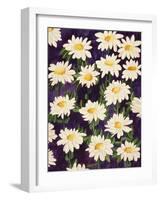 Shasta Daisies-Mary Russel-Framed Giclee Print