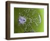 Shattered Glass-Alan Sailer-Framed Photographic Print