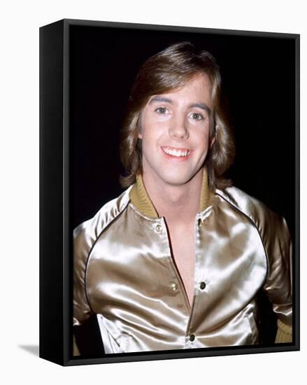 Shaun Cassidy-null-Framed Stretched Canvas